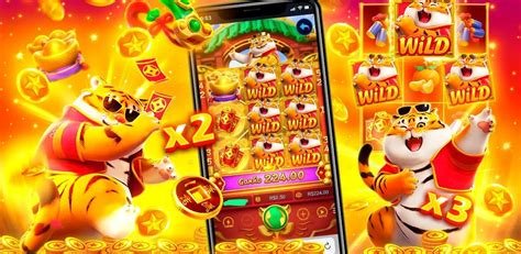 Giới thiệu bll55